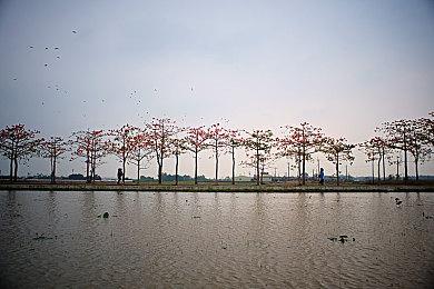 游戏开发工具《RPG Developer Bakin》3月7日添加中文支持